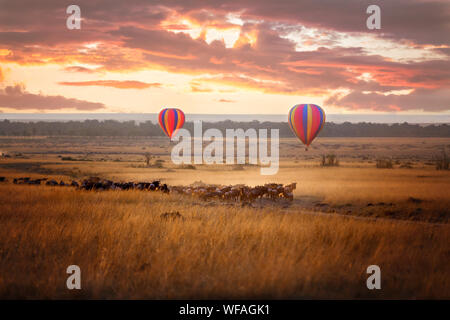 Sunrise oltre il Masai Mara, con una coppia di basso-battenti i palloni ad aria calda e una mandria di gnu di seguito nel tipico rosso graminacei della regione. In Foto Stock