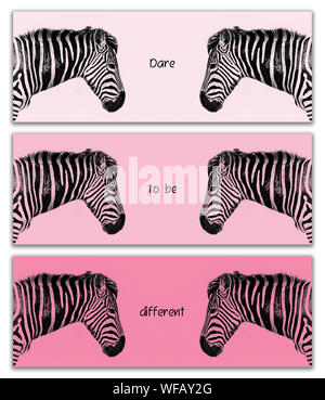 Zebra trittico. Tre Banner orizzontale che mostra la testa di riflesso di una pianura zebra nel profilo. Tavolozza dei colori delle tre tonalità di rosa con il coraggio del preventivo Foto Stock