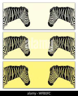 Zebra trittico. Tre Banner orizzontale che mostra la testa di riflesso di una pianura zebra nel profilo. Tavolozza dei colori delle tre tonalità di colore pastello giallo. Foto Stock