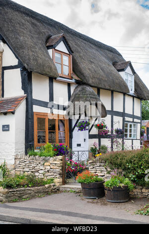 Con il tetto di paglia in bianco e nero con cornice in legno cottage e giardino. Il castello di Elmley, Cotswolds, Wychavon district, Worcestershire, Inghilterra Foto Stock