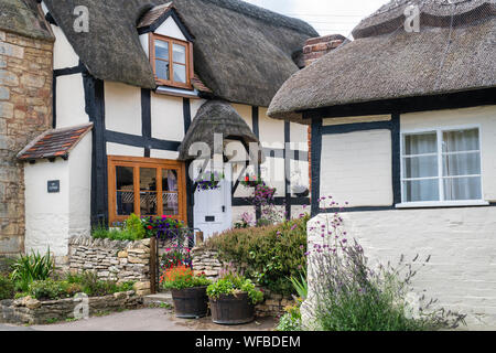 Con il tetto di paglia in bianco e nero con cornice in legno cottage e giardino. Il castello di Elmley, Cotswolds, Wychavon district, Worcestershire, Inghilterra Foto Stock