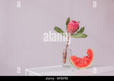 Protea fiore in un vaso accanto a una fetta di cocomero Foto Stock