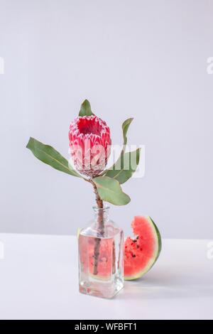 Protea fiore in un vaso accanto a una fetta di cocomero Foto Stock