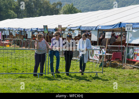 Speranza mostra su Ferragosto 2019 nel Derbyshire, Inghilterra. Spettatori accanto al bestiame anello. Foto Stock