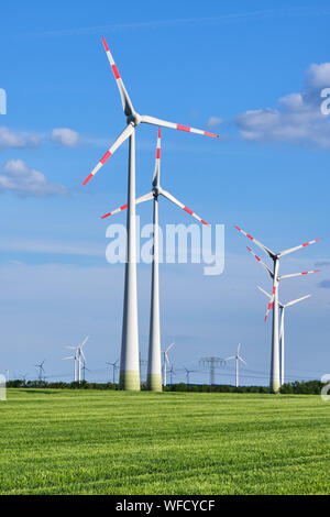 Le turbine eoliche nel verde di un campo di mais visto in Germania Foto Stock