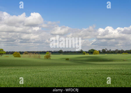 Scena di paesaggio, poco Maplestead, Essex. Regno Unito Foto Stock