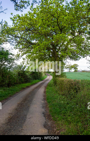 Vicolo del paese, poco Maplestead, Essex, Inghilterra, Regno Unito Foto Stock