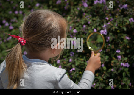 Ragazza il Explorer della natura con lente di ingrandimento Foto Stock