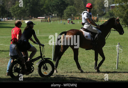 Luhmuhlen, Germania. 31 Agosto, 2019. Il 31 agosto 2019, Bassa Sassonia, Luhmühlen: sport equestri, eventing, campionato europeo: un belga eventing pilota si siede sul suo cavallo e si guarda intorno. Foto: Friso Gentsch dpa/credito: dpa picture alliance/Alamy Live News Foto Stock