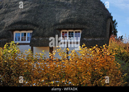 Cottage con il tetto di paglia sulla High Street, Selborne, Hampshire, Regno Unito Foto Stock