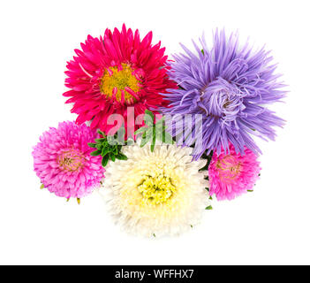 Bouquet di coloratissimi fiori Aestri su sfondo bianco. Close-up Foto Stock