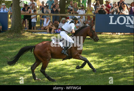 Luhmuhlen, Germania. 31 Agosto, 2019. Il 31 agosto 2019, Bassa Sassonia, Luhmühlen: sport equestri, eventing, campionato europeo: il tedesco eventing rider Ingrid Klimke su Hale Bob rides nel cross-country la concorrenza. Foto: Friso Gentsch/dpa Foto Stock