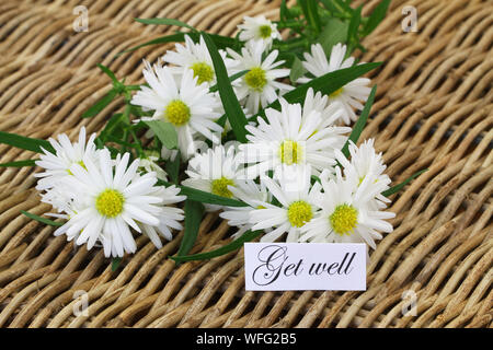 Get Well card con fiori a margherita sul vassoio di vimini Foto Stock