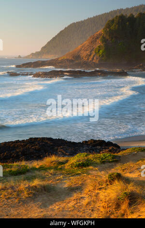 Cove a Strawberry Hill, Nettuno parco statale, Oregon Foto Stock