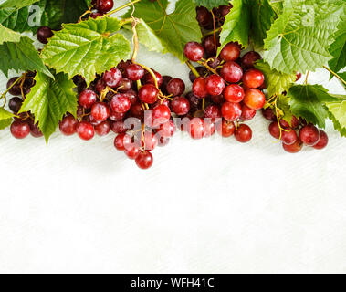 I grappoli di uva rossa su uno sfondo bianco Foto Stock