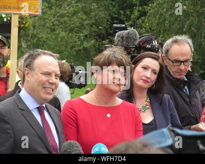 Arlene Foster parla di premere dopo l incontro con Boris Johnston a Stormont in Irlanda del Nord con: N Irlanda la DUP leader del partito Arlene Foster, centro colloqui alla media con DUP vice leader Nigel Dodds dove: Belfast N Ireland, Regno Unito quando: 31 lug 2019 Credit: WENN.com Foto Stock