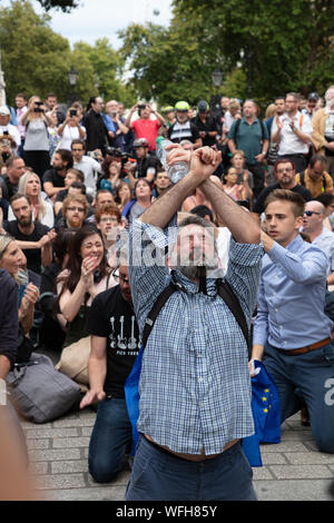 Londra, Regno Unito. 28 agosto 2019. Manifestanti anti anti anti-Brexit che scendono per le strade del centro di Londra. Credit: Joe Kuis / Alamy News Foto Stock