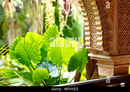 Arch decorate con ornamenti arabo con un interno giardino verde in background Foto Stock