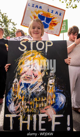 I manifestanti a 'Stop il colpo di Stato, difendere la democrazia' protestare fuori a Downing Street, nel centro di Londra, UK, 31 agosto 2019 Foto Stock