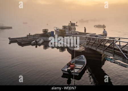 Lobstermen preparare alla testa in acqua durante una mattinata nebbiosa sunrise a cinque delle isole Harbor, Maine. Foto Stock