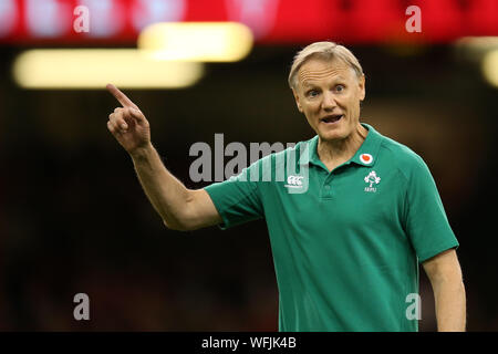 Cardiff, Regno Unito. 31 Agosto, 2019. Joe Schmidt, l'Irlanda di rugby head coach rivolta durante la pre-corrispondenza warm up. Il Galles v Irlanda, sotto la corazza della serie estate 2019 international partita di rugby al Principato Stadium di Cardiff Wales, Regno Unito sabato 31 agosto 2019. pic da Andrew Orchard/Andrew Orchard fotografia sportiva/ Alamy Live News nota immagine disponibile per il solo uso editoriale Credito: Andrew Orchard fotografia sportiva/Alamy Live News Foto Stock