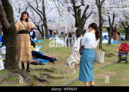 OSAKA, GIAPPONE, Aprile 7, 2019 : Giapponese vengono scattate le foto sotto il ciliegio in fiore alberi all'Kema Sakuranomiya Park per festeggiare la nuova molla . Foto Stock