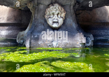 PALERMO - Dettaglio di una fontana con alghe presso il famoso Quattro Canti. Foto Stock