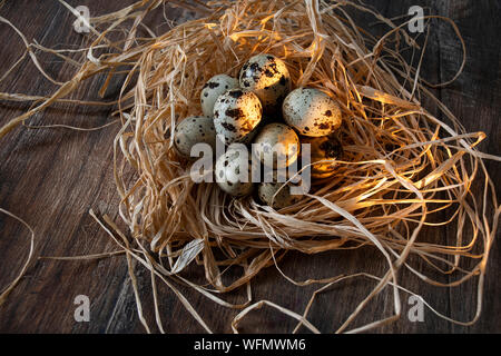 Cinque al giorno e uno stile di vita sano opzioni. Raccolti di fresco uova di quaglia. Foto Stock