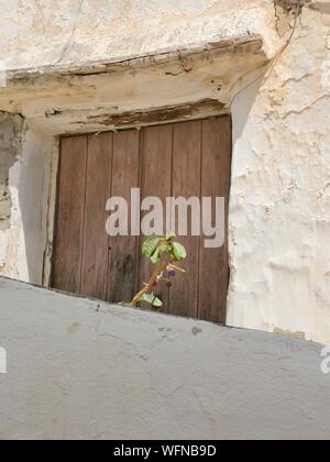 Vecchia porta di legno a Casares, un villaggio di montagna della provincia di Malaga, Andalusia, Spagna. Foto Stock