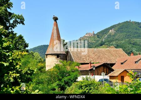 Francia, Haut Rhin, in Alsazia strada del vino, Ribeauville, Stork torre (Tour des Cigognes), in background St Ulrich Castello e Castello di Girsberg Foto Stock