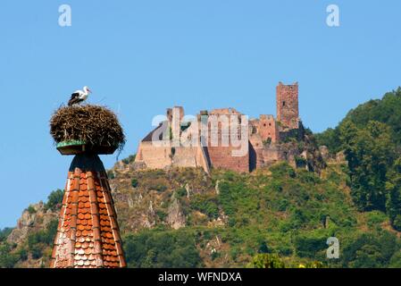 Francia, Haut Rhin, in Alsazia strada del vino, Ribeauville, Stork torre (Tour des Cigognes) con un nido di cicogna bianca (Ciconia ciconia), in background St Ulrich Castle Foto Stock