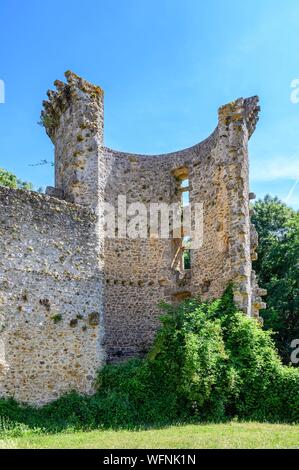 Francia, Yvelines, Haute Vallée de Chevreuse parco naturale regionale, Chevreuse, Château de la Madeleine, courtine nord e Aula Foto Stock