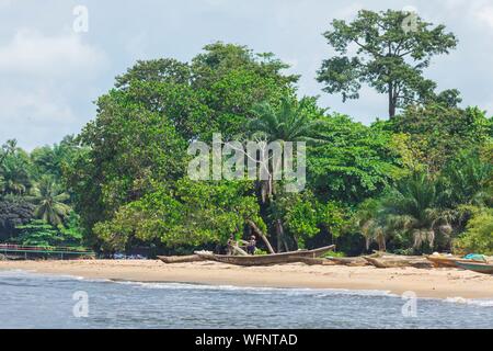 In Camerun, regione sud, Dipartimento dell'oceano, Kribi, pesca Canoe sulla spiaggia e foresta Foto Stock