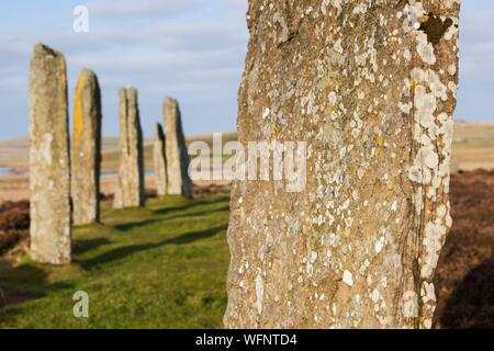 Regno Unito, Scozia, isole Orcadi, Continentale, anello di Brodgar, cuore delle Orcadi neolitiche, elencati in un sito del Patrimonio Culturale Mondiale dell'UNESCO Foto Stock