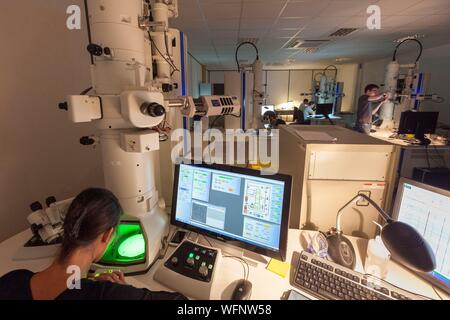 Francia, Eure, Grand Bourgtheroulde, laboratorio ambientale, analista researshing fibre di amianto analitica mediante microscopia elettronica a trasmissione (ATEM) Foto Stock