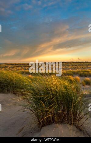 La Danimarca, a nord dello Jutland, la punta di Grenen è una striscia di terra situata all estremo nord della Danimarca, vicino alla città di Skagen, è il punto di incontro di due stretti, Skagerrak e Kattegat, qui al tramonto Foto Stock