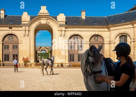 Francia, Oise, Chantilly, il castello di Chantilly, il grande maneggio, pilota della formazione il suo cavallo nella giostra sotto lo sguardo di un horsewoman Foto Stock