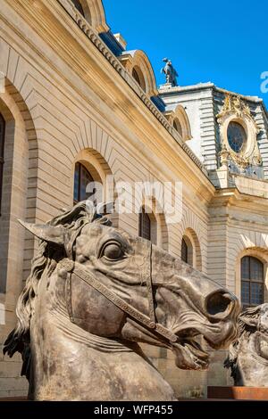 Francia, Oise, Chantilly, il castello di Chantilly, il grande maneggio, giant busto di cavallo nella giostra Foto Stock