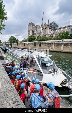 Francia, Parigi, le rive della Senna, sito del Patrimonio Mondiale dell'UNESCO, Ile de la Cité e la Cattedrale di Notre Dame dopo l'incendio del 15 aprile 2019 Foto Stock