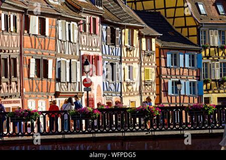 Francia, Haut Rhin, Alsazia strada del vino, Colmar, La Petite Venise district, tradizionali tipiche case a graticcio, quai de la Poissonnerie Foto Stock