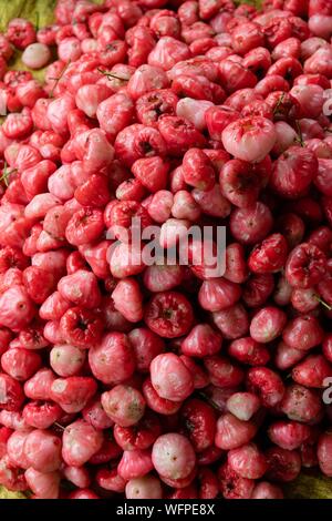 Indonesia Sulawesi island, Toraja paese, Tana Toraja Tana Toraja, Rantepao mercato, Tamarillo Foto Stock