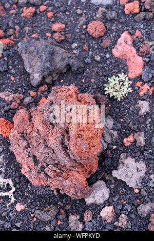 L'Italia, sicilia, Etna Parco Naturale Regionale del Monte Etna, classificato come patrimonio mondiale dall' UNESCO, rocce vulcaniche Foto Stock