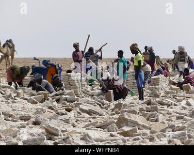 Etiopia, Danakil depressione di Afar, minatori estrazione di mattoni di sale dal lago Karum Foto Stock