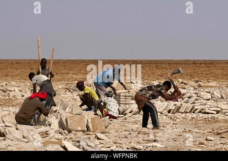 Etiopia, Danakil depressione di Afar, minatori estrazione di mattoni di sale dal lago Karum Foto Stock