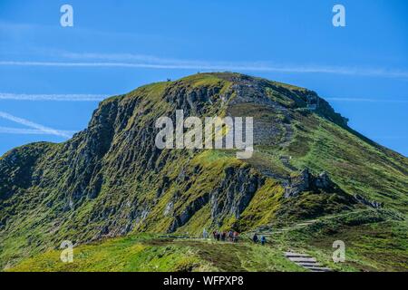 Francia, Cantal, parco naturale regionale dei vulcani di Auvergne, Monts du Cantal, Cantal monta gli escursionisti in salita del Puy Mary Foto Stock