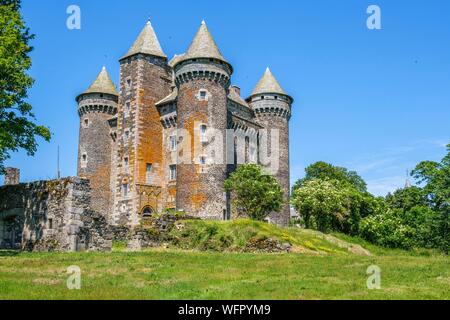 Francia, Aveyron, Montpeyroux, Bousquet castello vicino Laguiole Foto Stock