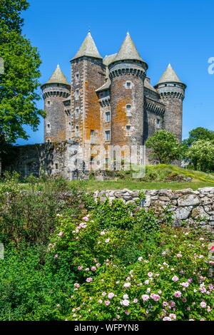 Francia, Aveyron, Montpeyroux, Bousquet castello vicino Laguiole Foto Stock