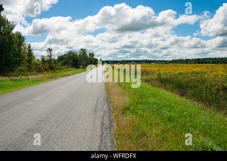 Strada di campagna nella parte settentrionale dello stato di New York Foto Stock