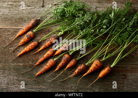 Le carote fresche con verdi su vecchie tavole di legno Foto Stock