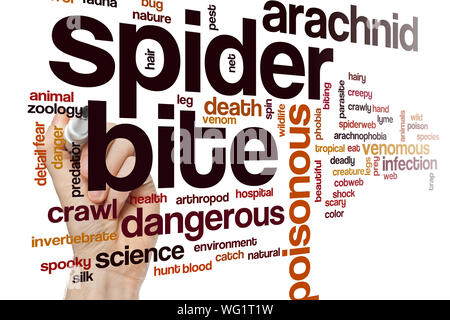 Spider bite parola concetto di cloud Foto Stock